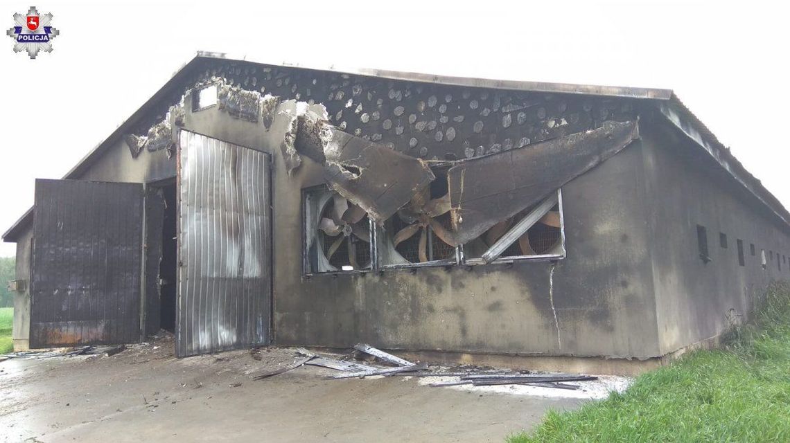 W murowanym kurniku spłonęło 23 tys. kurczaków. Prawdopodobnie trafił w niego piorun W murowanym kurniku spłonęło 23 tys. kurczaków. Prawdopodobnie trafił w niego piorun