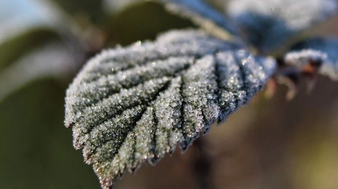 W najbliższych dniach w woj. lubelskim możliwe przymrozki. IMGW ostrzega W najbliższych dniach w woj. lubelskim możliwe przymrozki. IMGW ostrzega