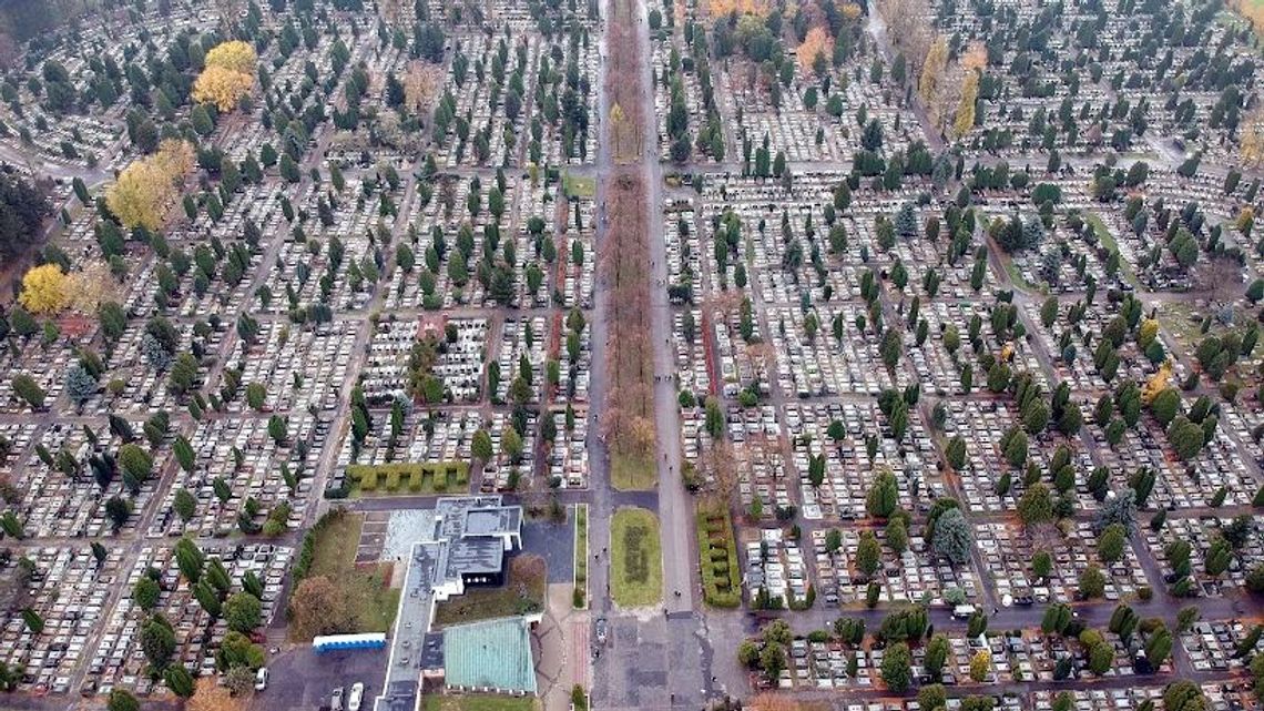W niedzielę nawet 23 stopnie. A jaka pogoda we Wszystkich Świętych? W niedzielę nawet 23 stopnie. A jaka pogoda we Wszystkich Świętych?