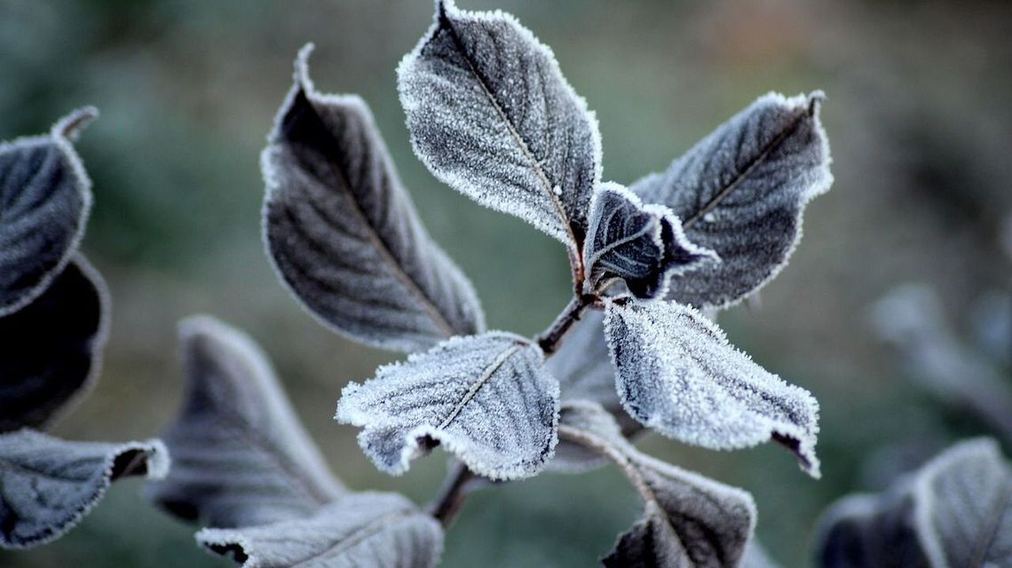 W nocy ściśnie mróz. IMGW ostrzega