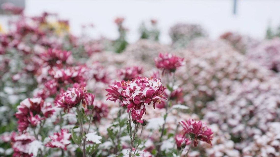 W piątek będzie cieplej. Tylko dodatnie temperatury