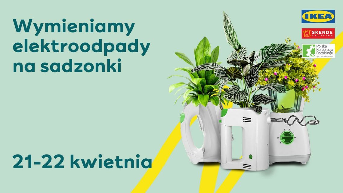 W piątek i sobotę specjalna akcja w Lublinie. Sadzonki za elektrośmieci w SKENDE i IKEA