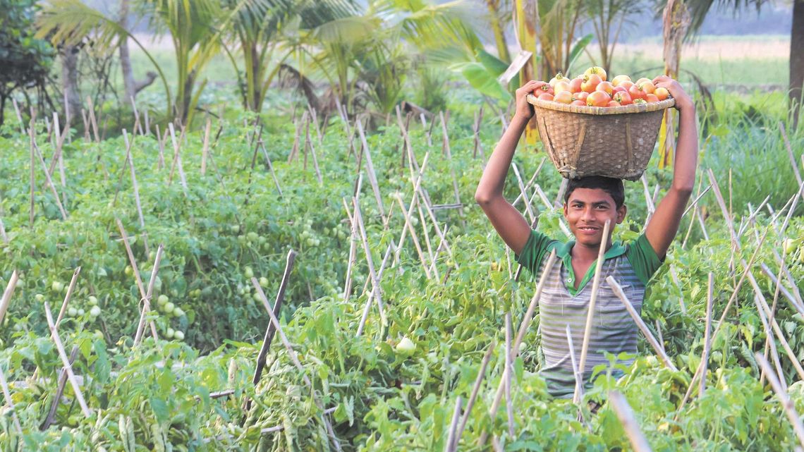 W Polsce jest coraz więcej wakatów. Firmy ściągają pracowników z Bangladeszu czy Indii W Polsce jest coraz więcej wakatów. Firmy ściągają pracowników z Bangladeszu czy Indii
