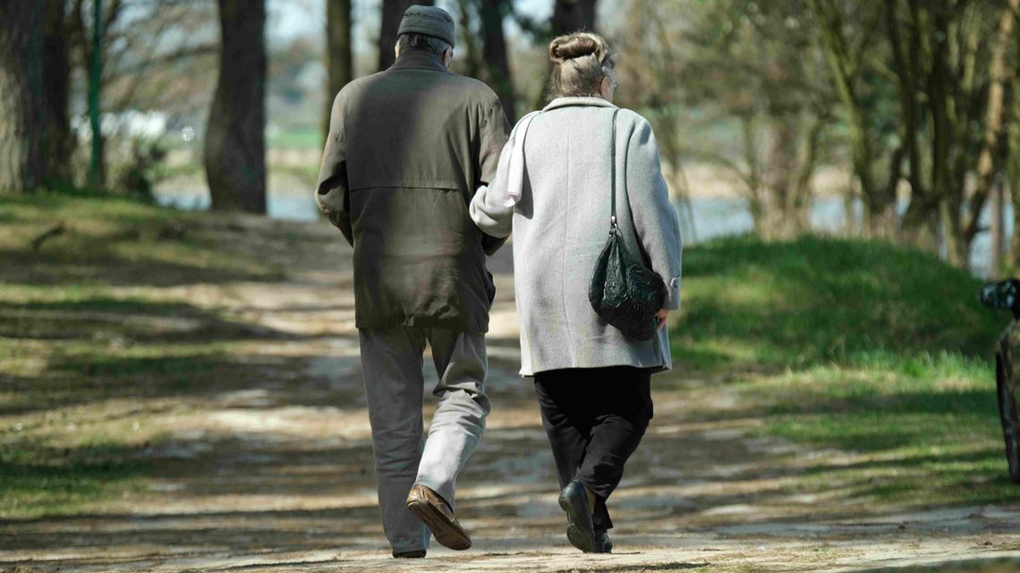 W poniedziałek seniorzy będą w Botaniku. Wnuki muszą dać im wolne