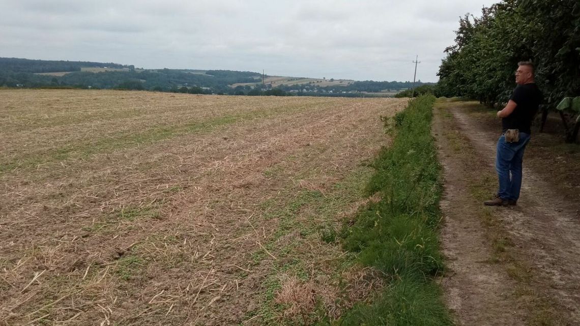 W poszukiwaniu powstańczej potyczki. Każdy może szukać śladów po bitwie