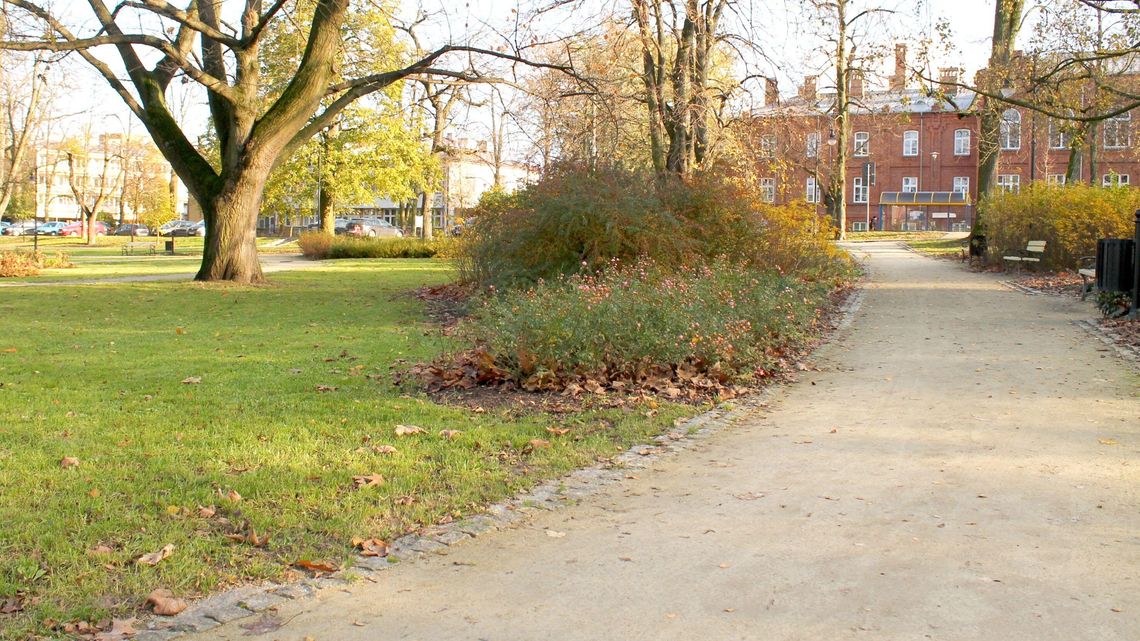 W Puławach łatwiej będzie można zabudować działkę. Zmiana przepisów o zieleni