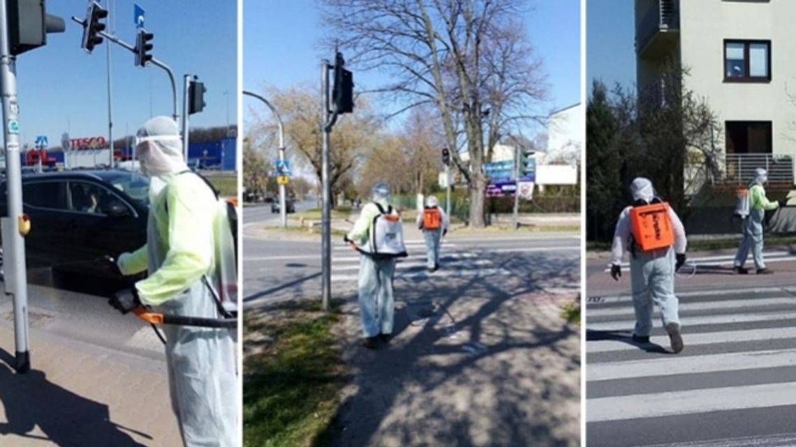 W Puławach odkażają ławki i przyciski przed przejściami dla pieszych W Puławach odkażają ławki i przyciski przed przejściami dla pieszych