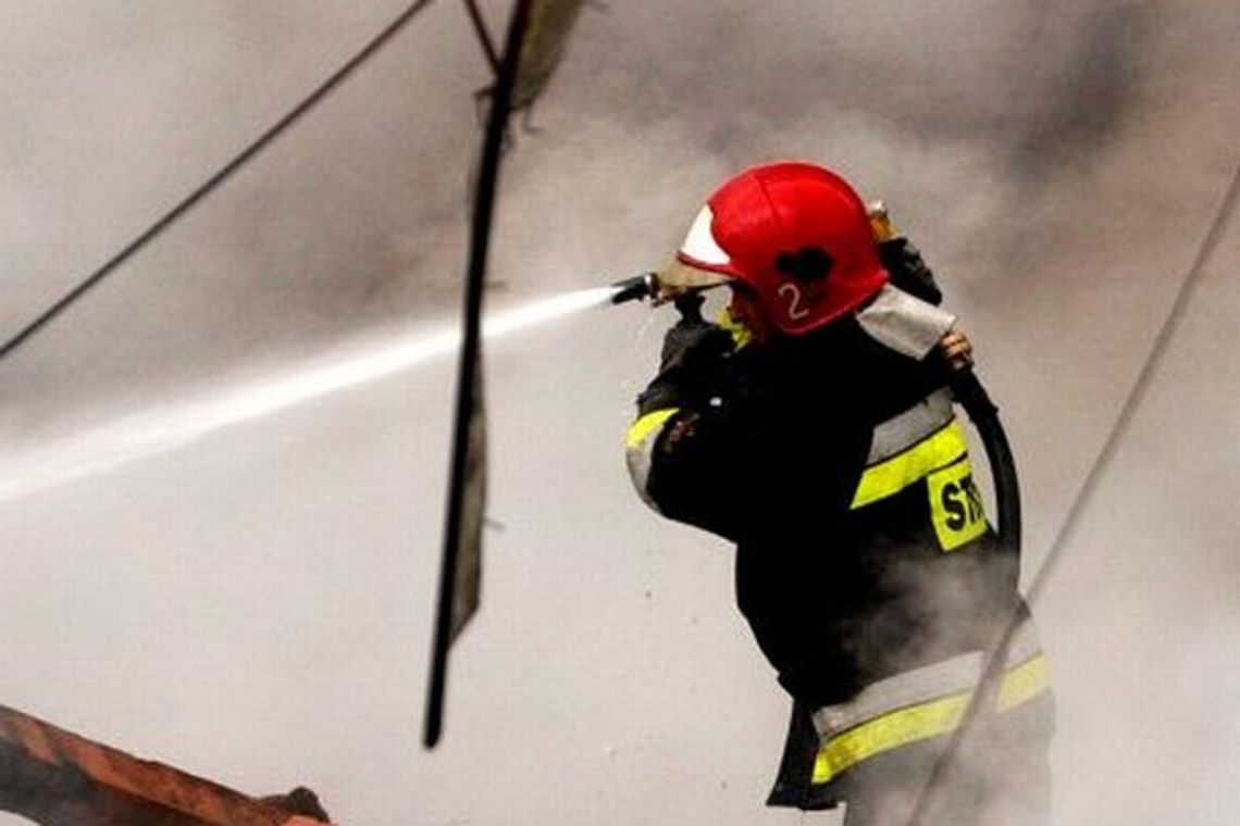 W spalonej altance działkowej strażacy znaleźli zwłoki