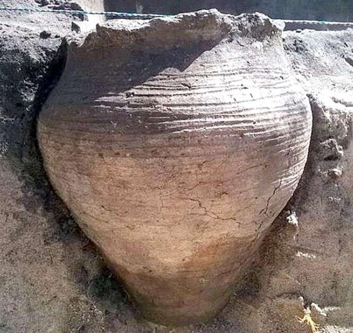 W średniowiecznej chacie znaleźli zupę, która ma ponad tysiąc lat. To ofiara dla bogów