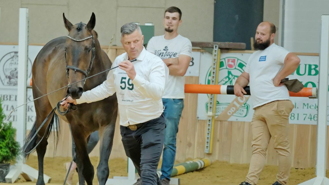 W Stacji Badawczej Ośrodka Dydaktyczno-Szkoleniowego Jeździectwa i Hipoterapii na lubelskim Felinie odbył się XXVI Narodowy Młodzieżowy Czempionat Koni Małopolskich