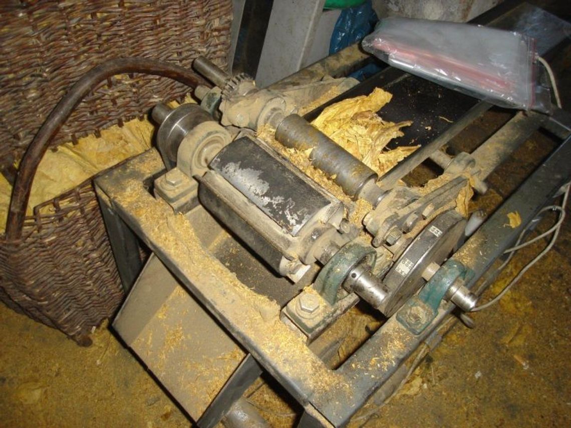 W stodole mieli wytwórnię krajanki tytoniowej