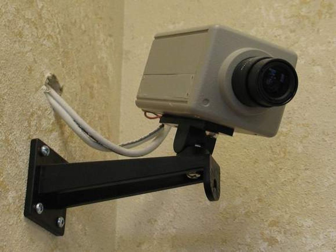  W Toruniu startuje domowy Big Brother