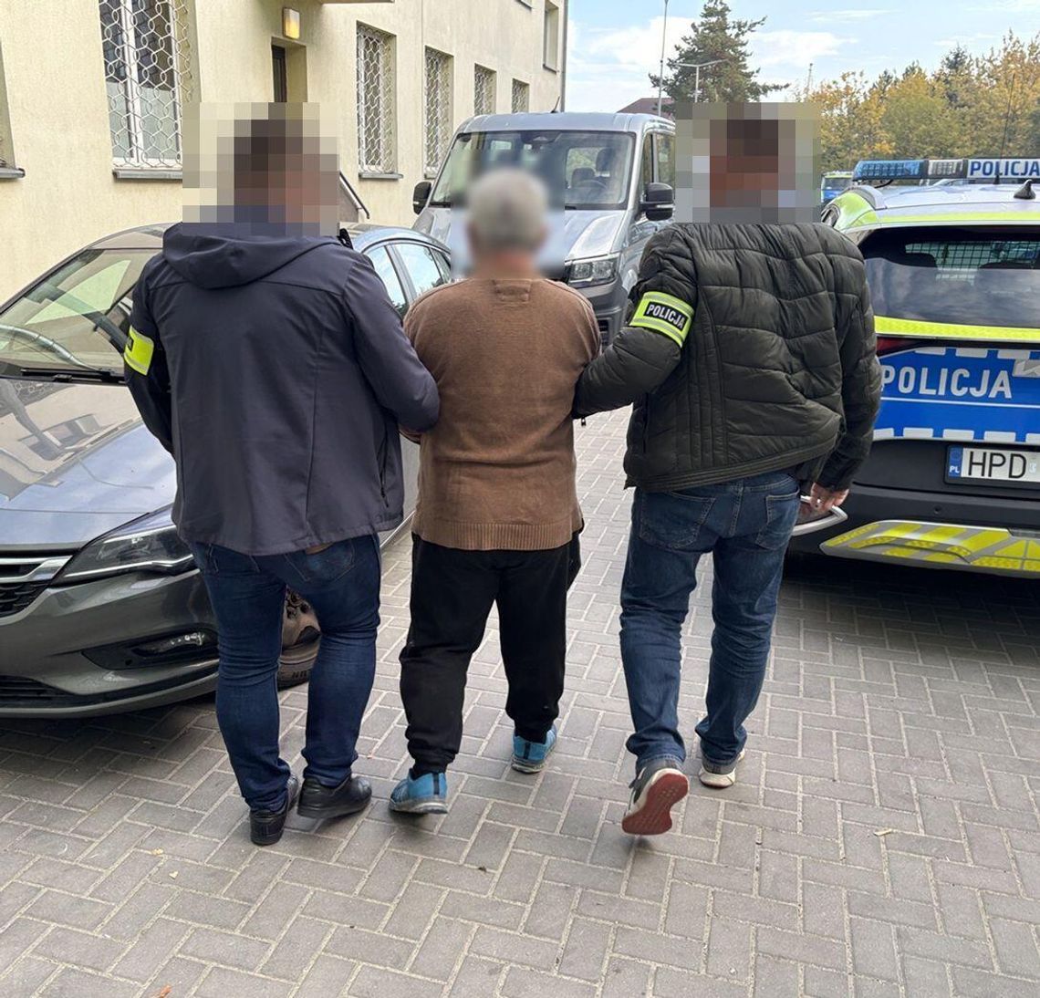 W tunelu zamiast pomidorów marihuana. Nielegalna plantacja zlikwidowana