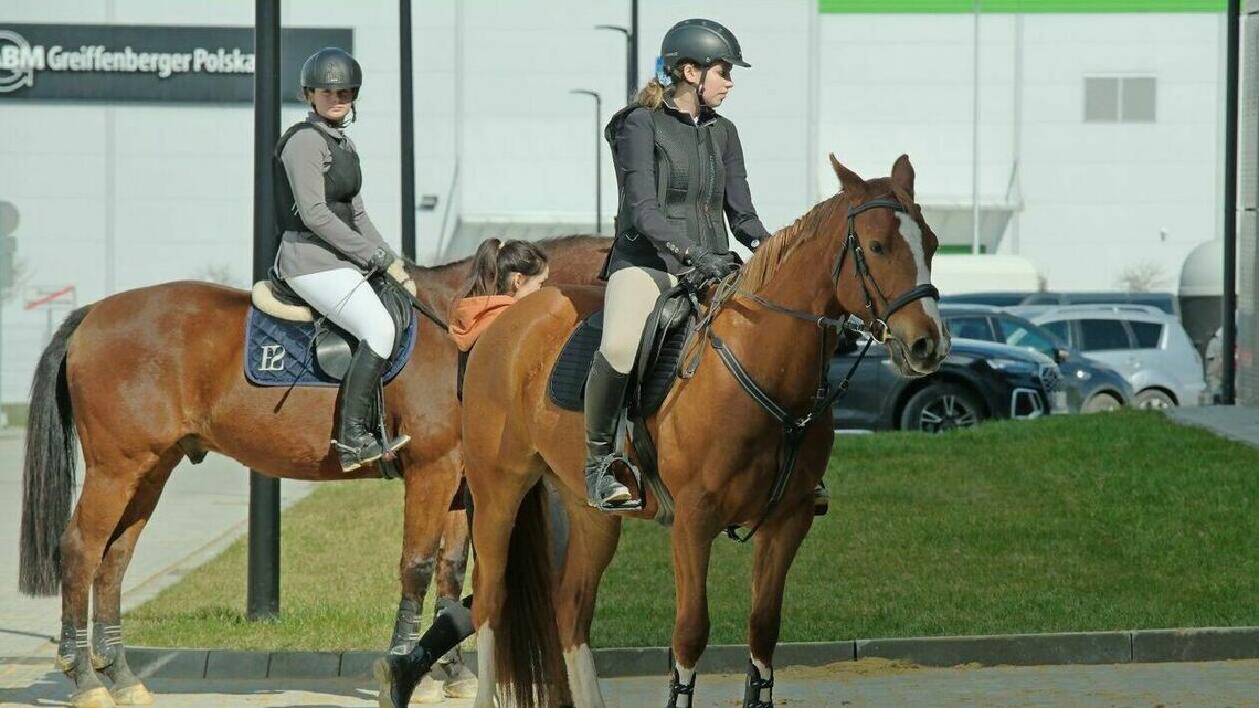 W weekend w Lublinie odbędą się mistrzostwa województwa w ujeżdżeniu W weekend w Lublinie odbędą się mistrzostwa województwa w ujeżdżeniu