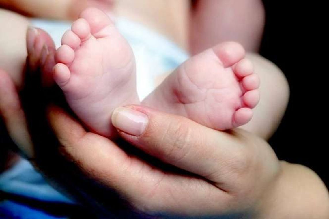W woj. lubelskim rodzi się coraz więcej dzieci. "Prognozy na najbliższe lata pozytywne" W woj. lubelskim rodzi się coraz więcej dzieci. "Prognozy na najbliższe lata pozytywne"