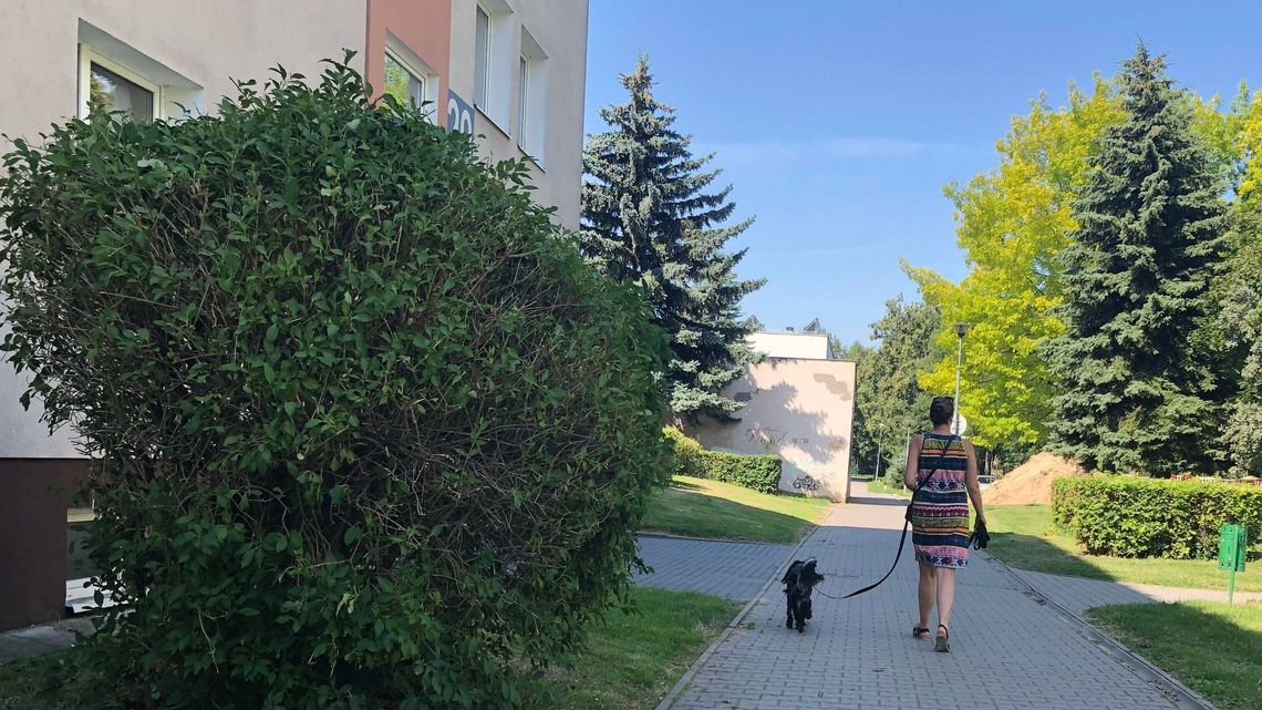 W Zamościu spacery z psem tylko na smyczy. Czy radni złamali prawo? W Zamościu spacery z psem tylko na smyczy. Czy radni złamali prawo?