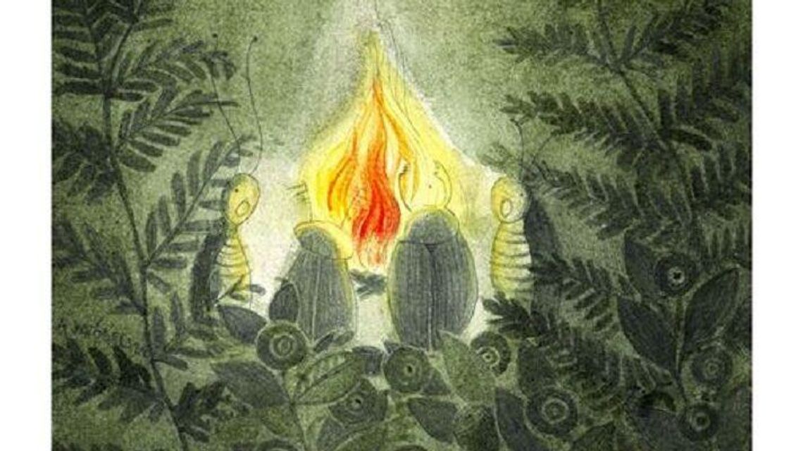 „W zaroślach” w Izbie Leśnej. Zajrzyj na wystawę spacerując po RPN