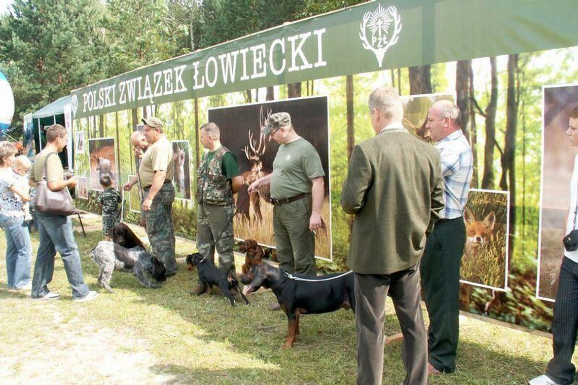 Wabiarze i skubanie kaczek w Zamościu