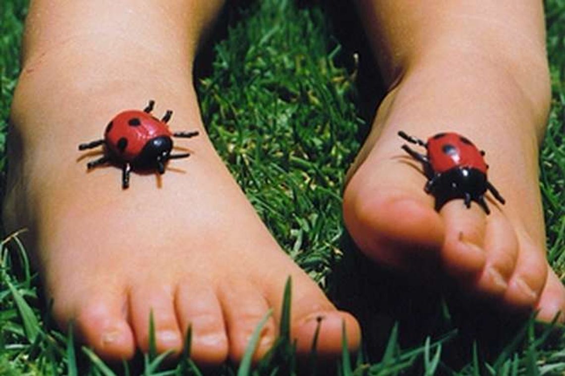 Wady postawy i stóp u dzieci. Konsultacje w szpitalu dziecięcym Wady postawy i stóp u dzieci. Konsultacje w szpitalu dziecięcym