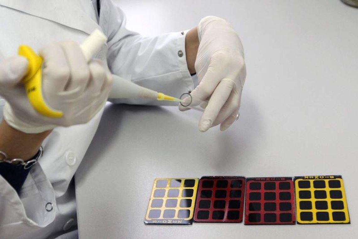 Wąglik zaatakował konie w gm. Rachanie. Bakterie mogły być w ziemi