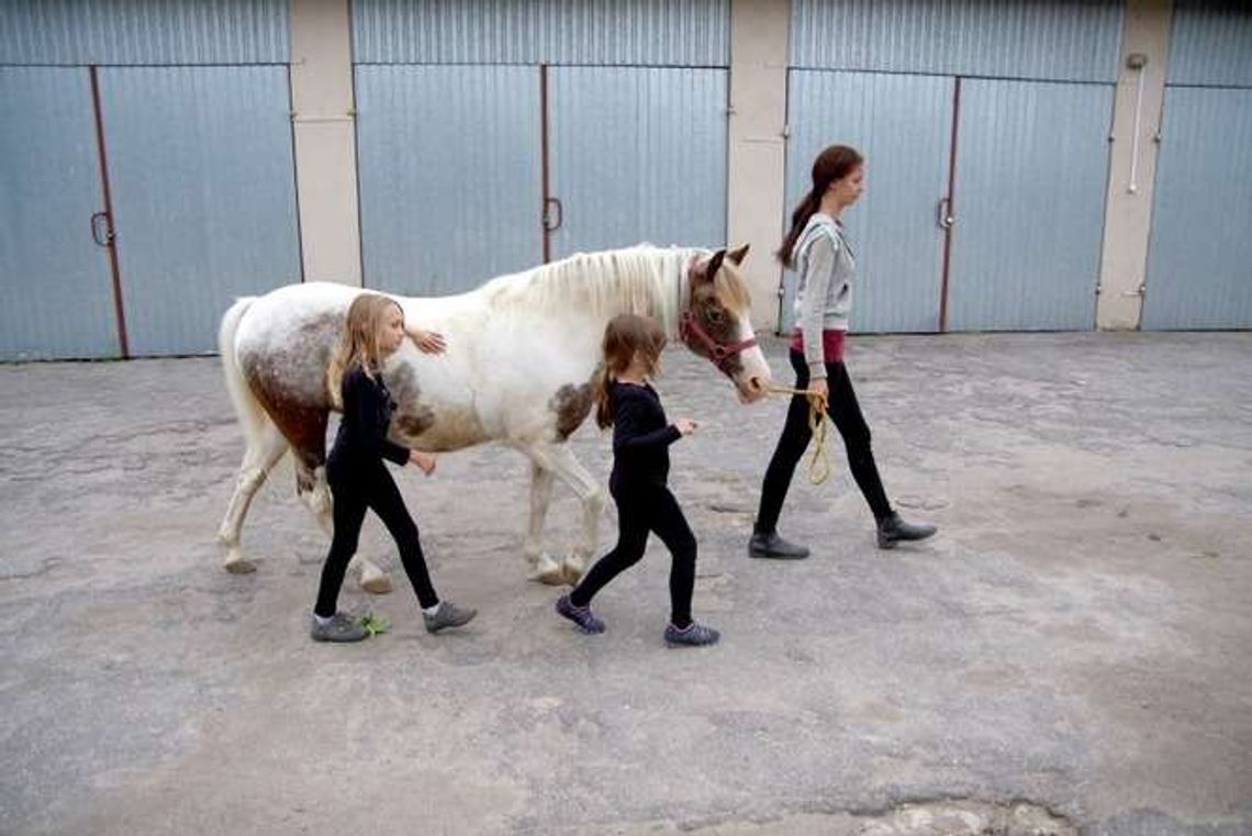 Wakacje mijają galopująco i kłusem (zdjęcia)