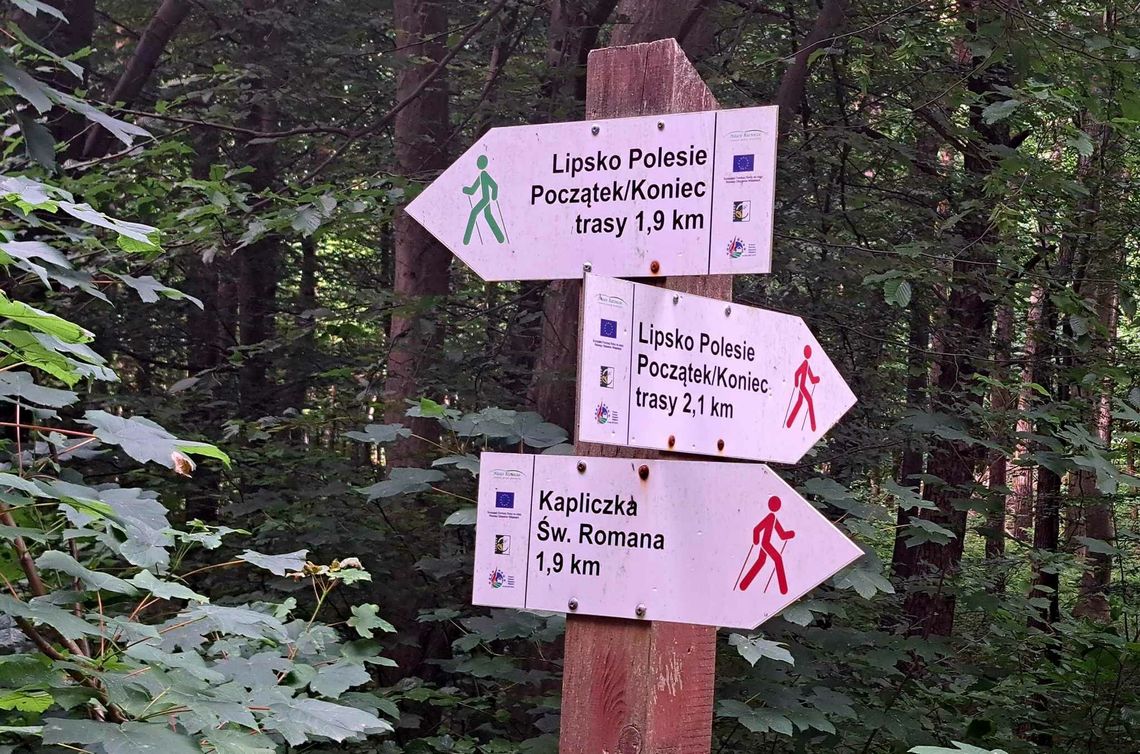 Wakacyjny przewodnik Dziennika. Wszystkie drogi prowadzą do św. Romana