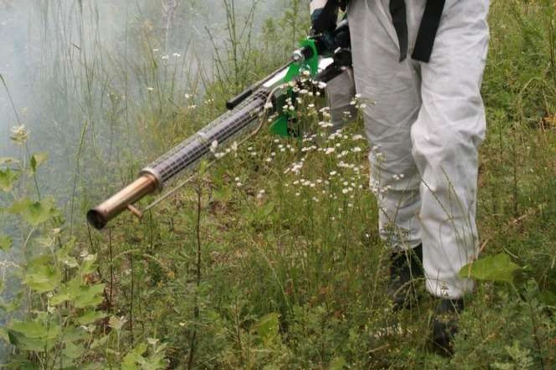 Walczą z komarami w Puławach. W środę kończą się opryski