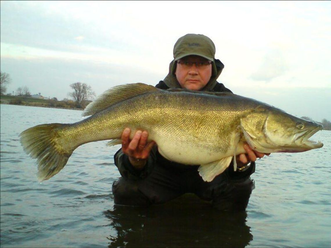 Walczyłem z sandaczem 20 minut