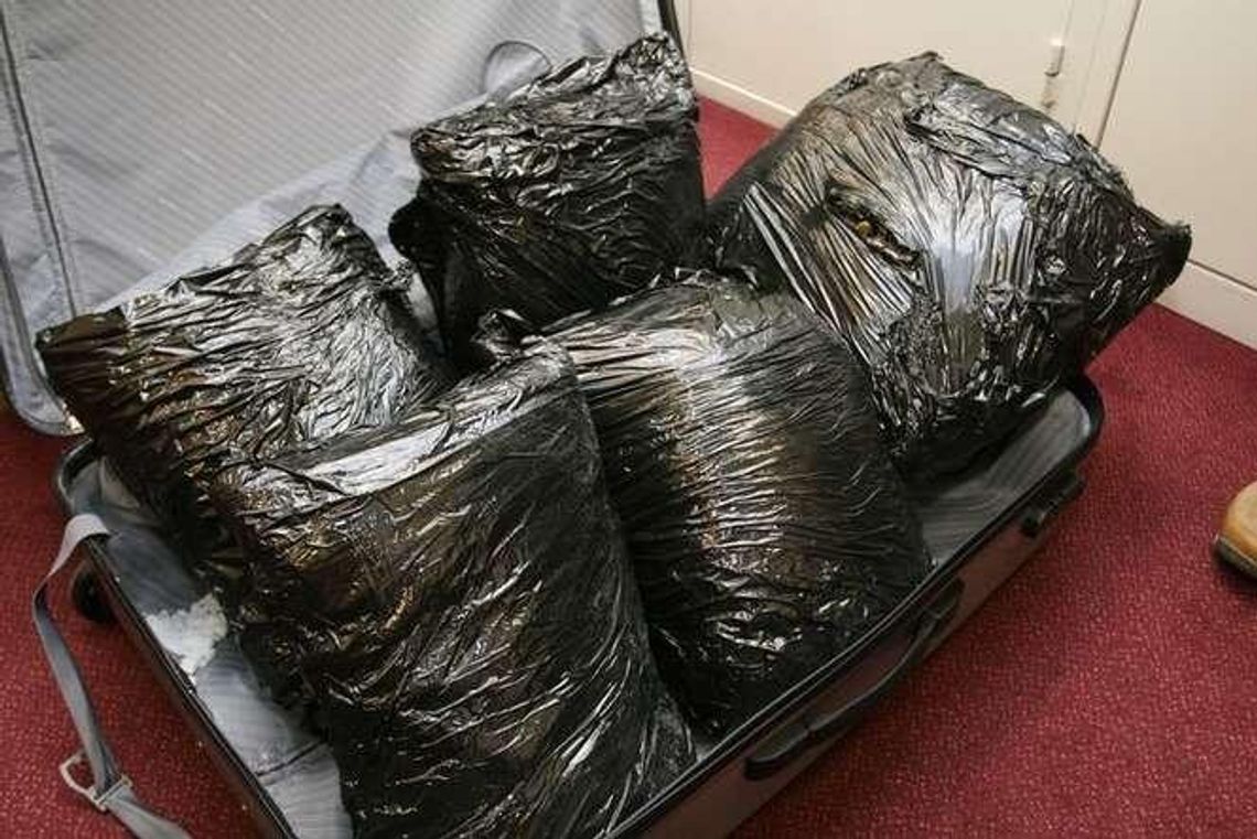 Walizka, a w środku 10 kg konopi. Wpadka na dworcu w Lublinie