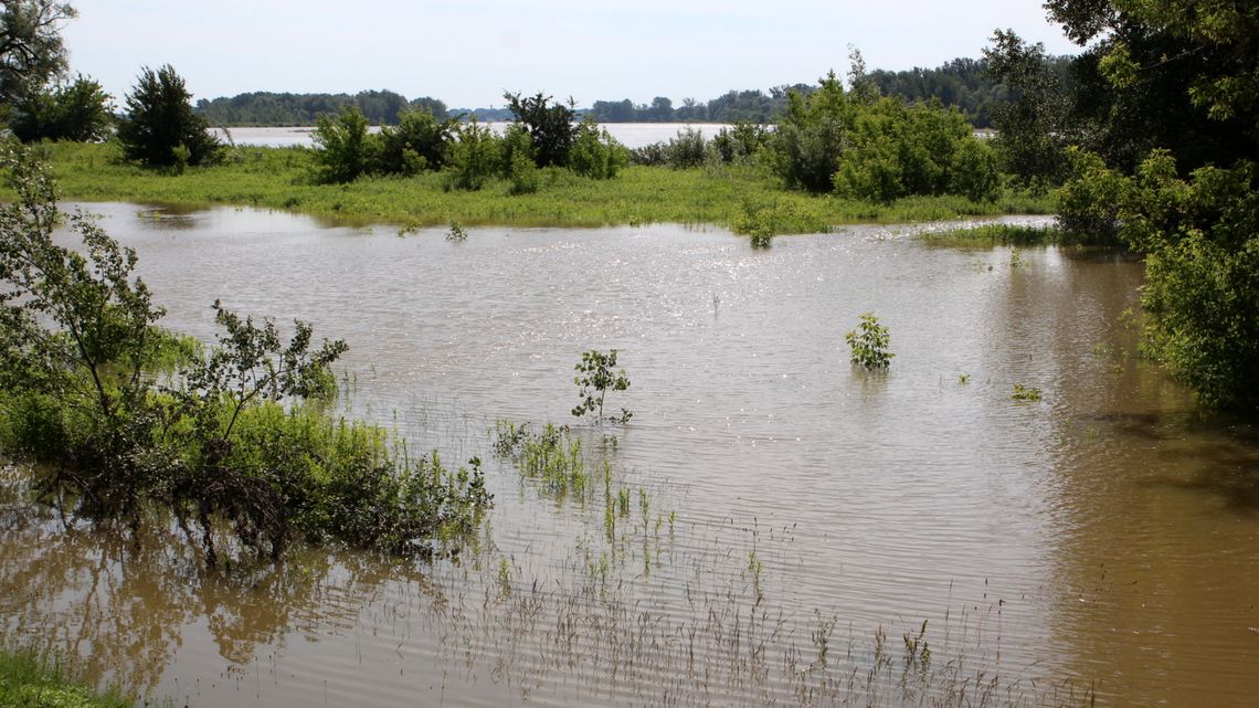 Wały przeciwpowodziowe w gm. Stężyca będą wzmacniane. W planach też pogłębienie starorzecza Wisły