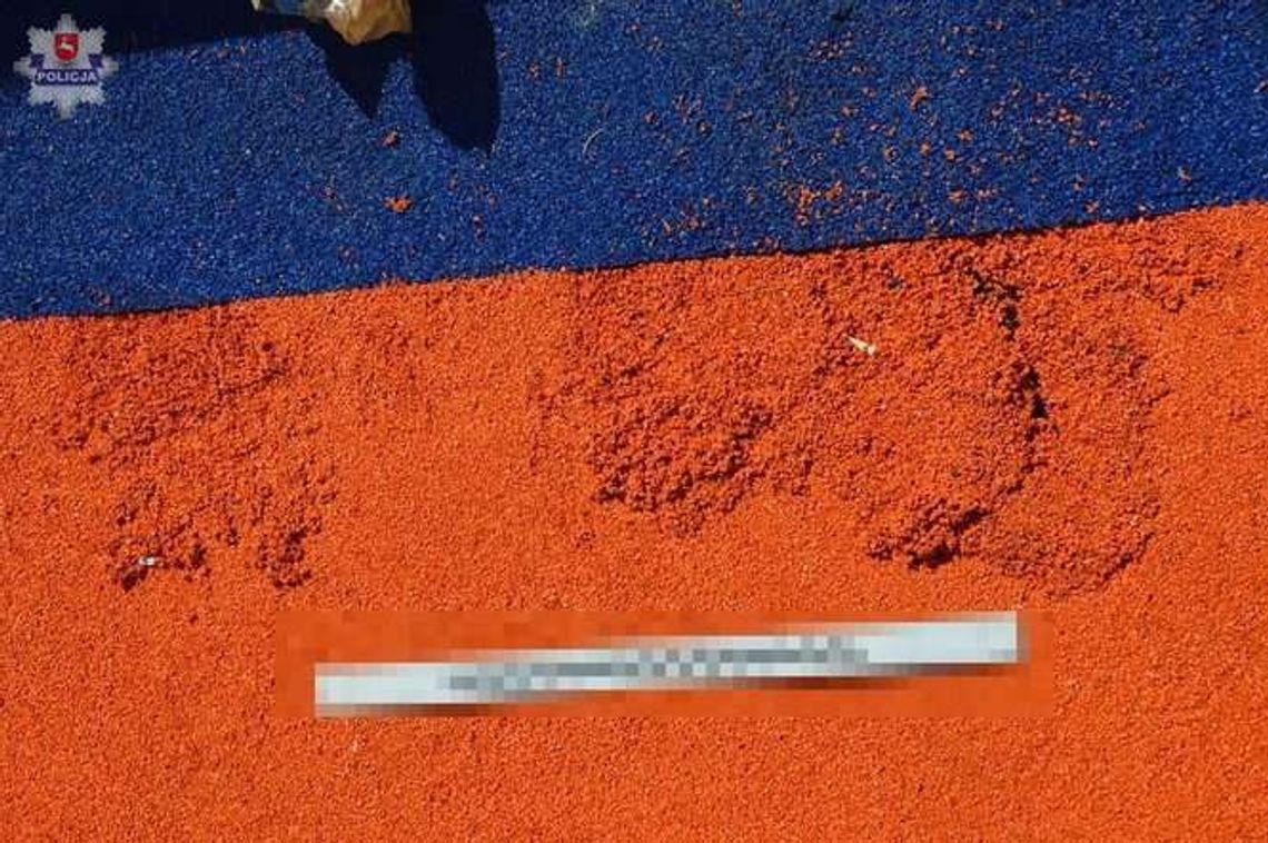 Wandale na placu zabaw, straty kilkanaście tys. złotych. Kto ich widział?