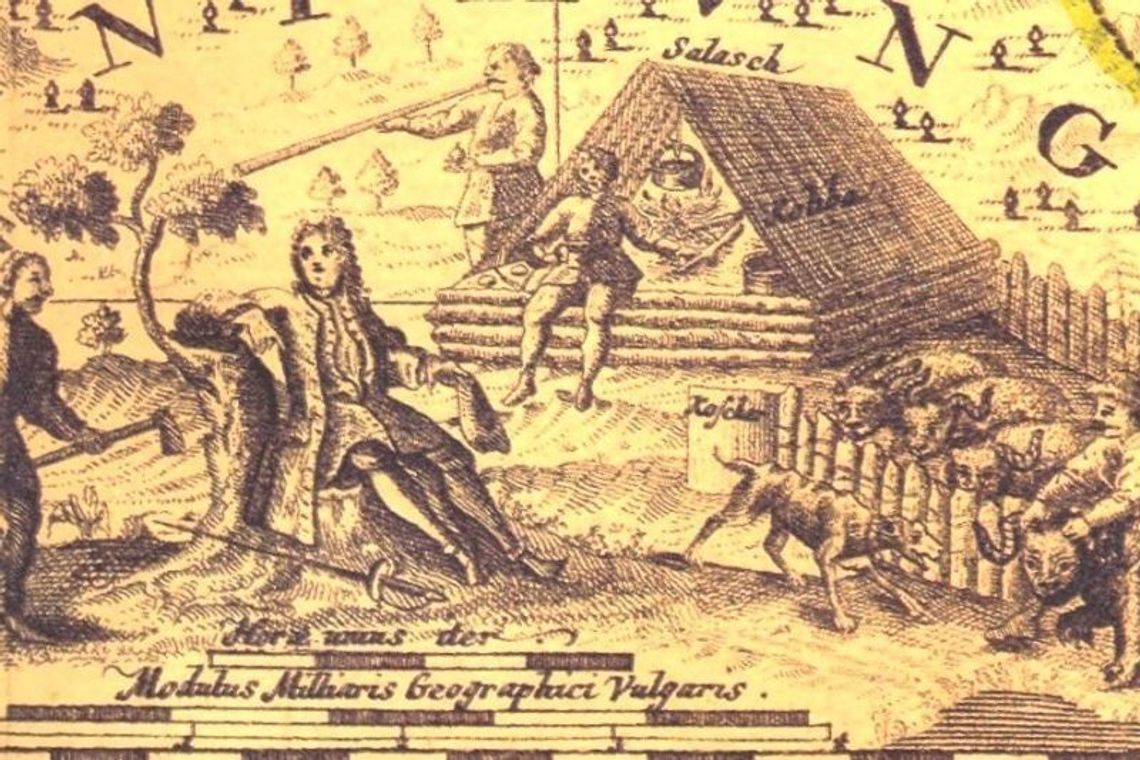 Warianka z Pułankowic