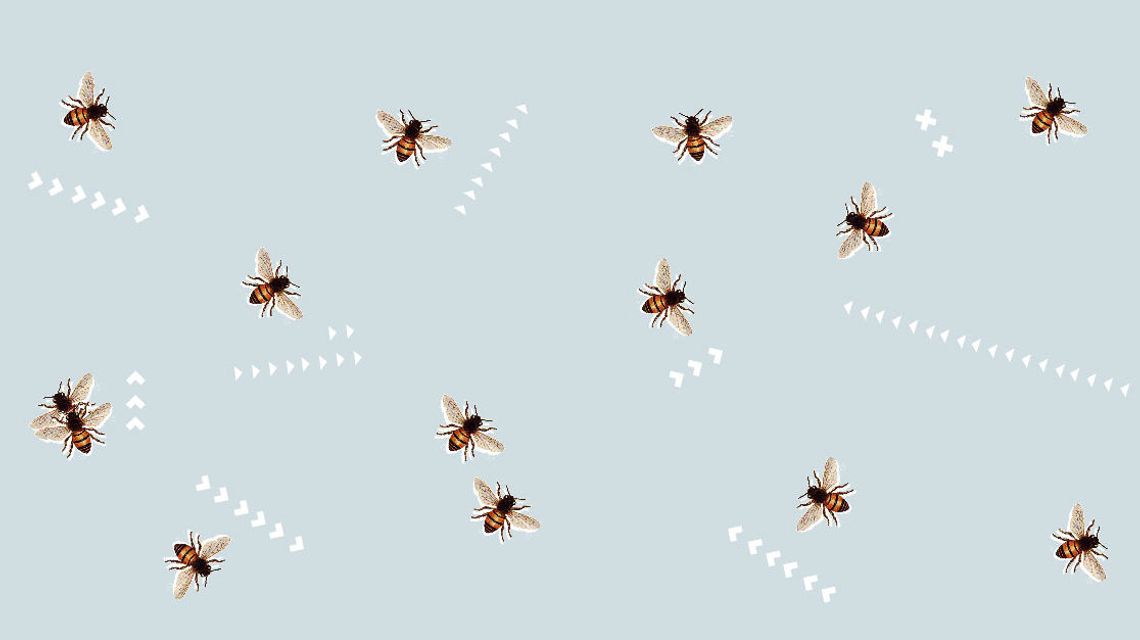 Warsztaty animacji z Warsztatami Kultury