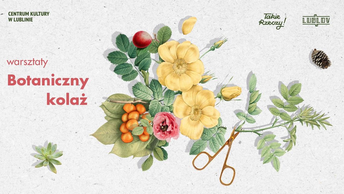 Warsztaty florystyczne w Centrum Kultury Warsztaty florystyczne w Centrum Kultury