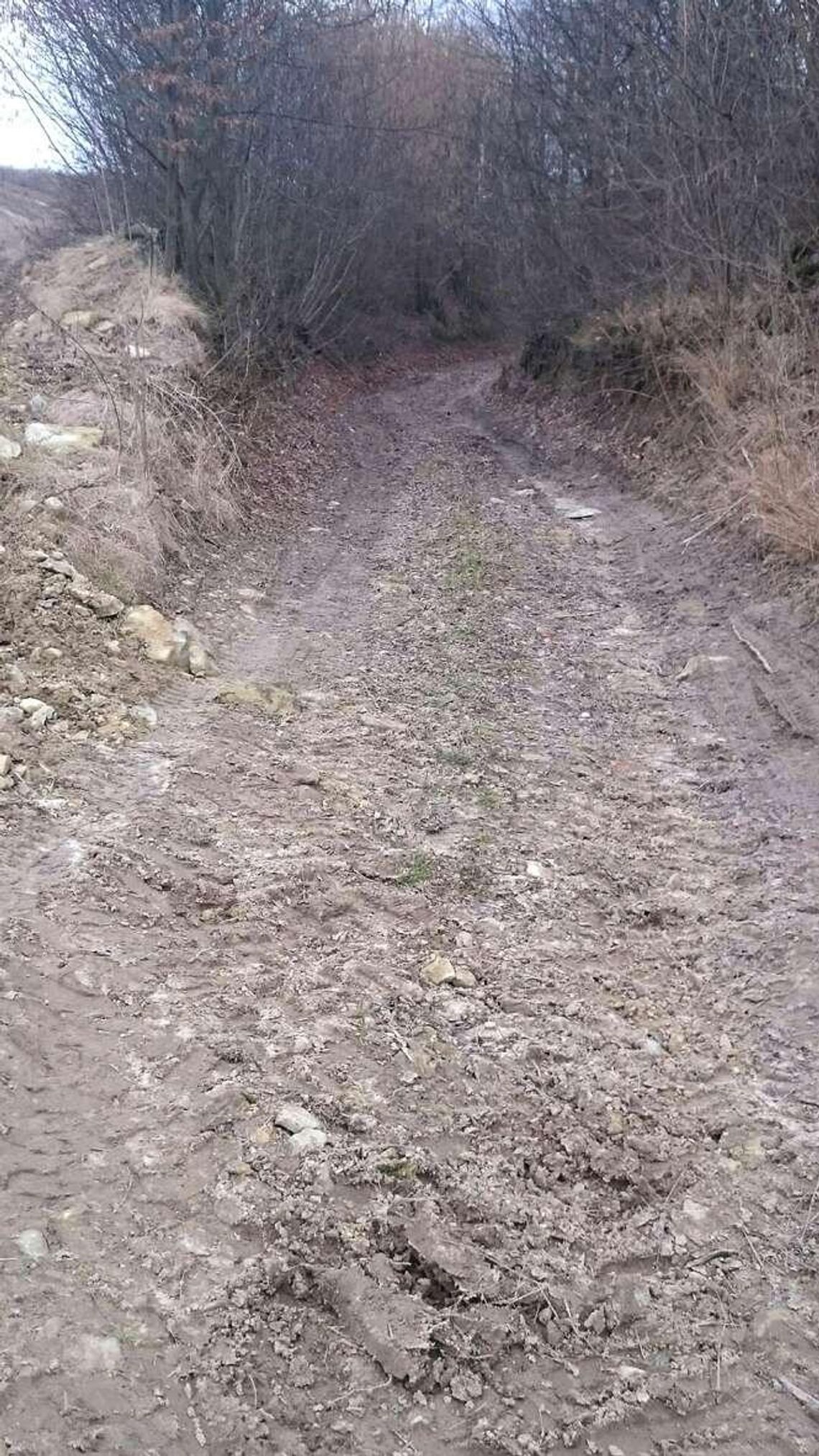 Wąwolnica: Uratują wąwóz, będzie przejezdny 