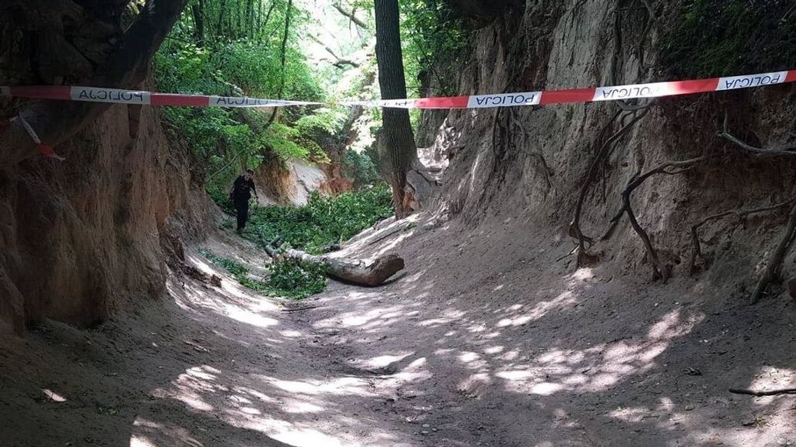 Wąwóz Korzeniowy Dół zamknięty do odwołania. Po wypadku 10 osób w szpitalu Wąwóz Korzeniowy Dół zamknięty do odwołania. Po wypadku 10 osób w szpitalu