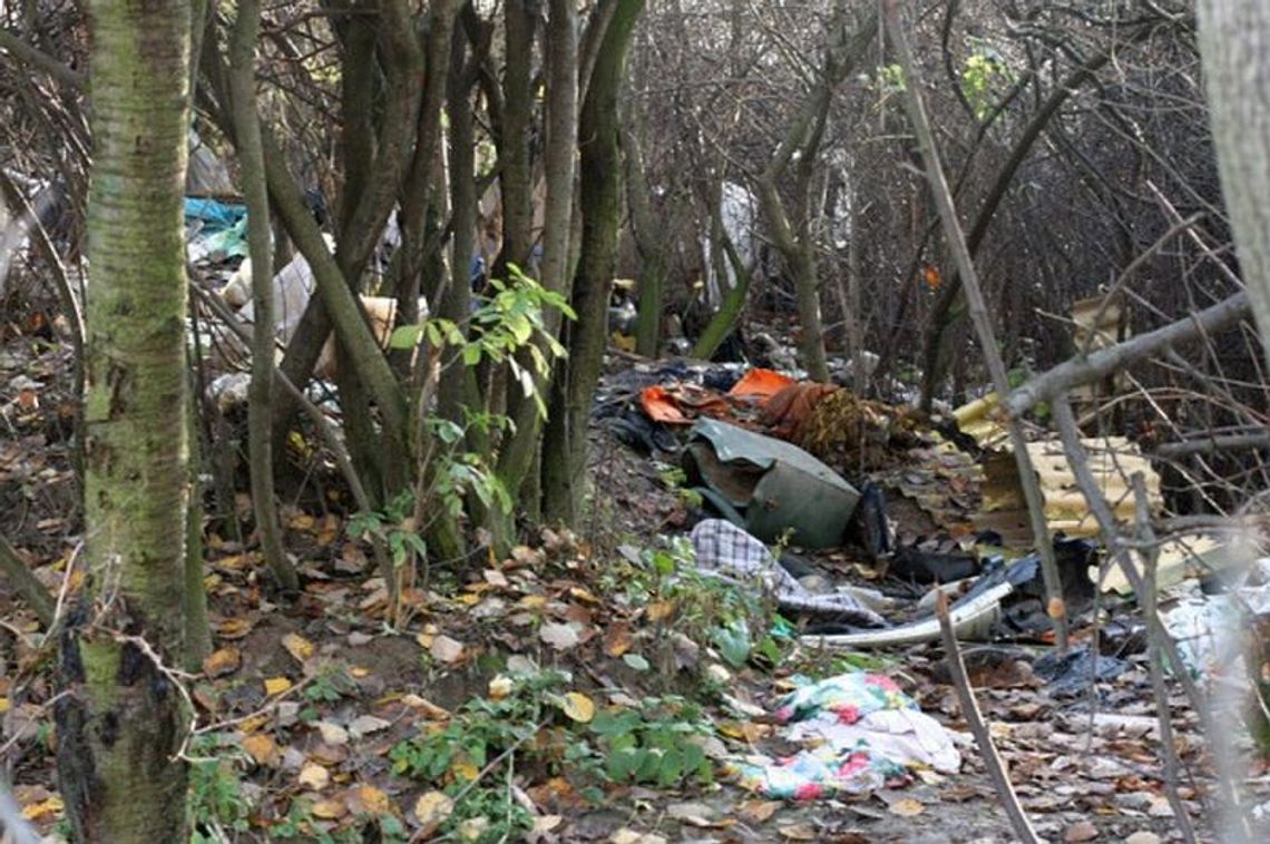 Wąwóz na LSM: Stosy odpadków w zaroślach Wąwóz na LSM: Stosy odpadków w zaroślach