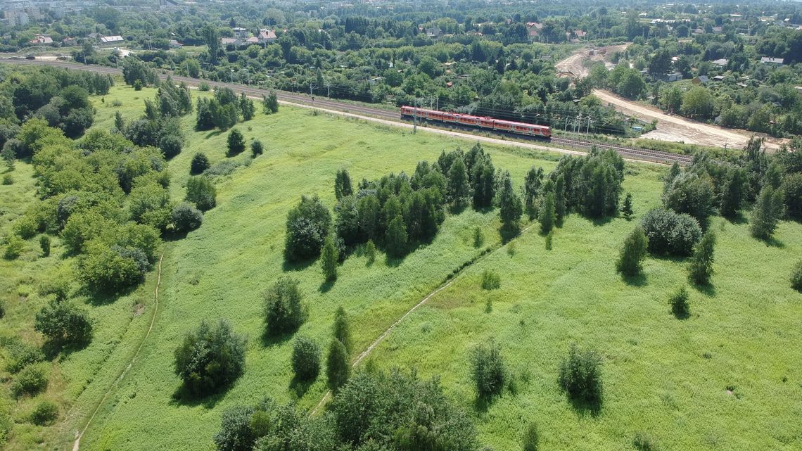 Ważą się losy wąwozu w Lublinie. Zieleń albo biurowiec