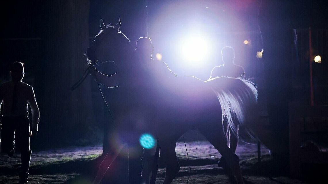 Ważna decyzja w sprawie aukcji Pride of Poland. Kto wybierze konie? Ważna decyzja w sprawie aukcji Pride of Poland. Kto wybierze konie?