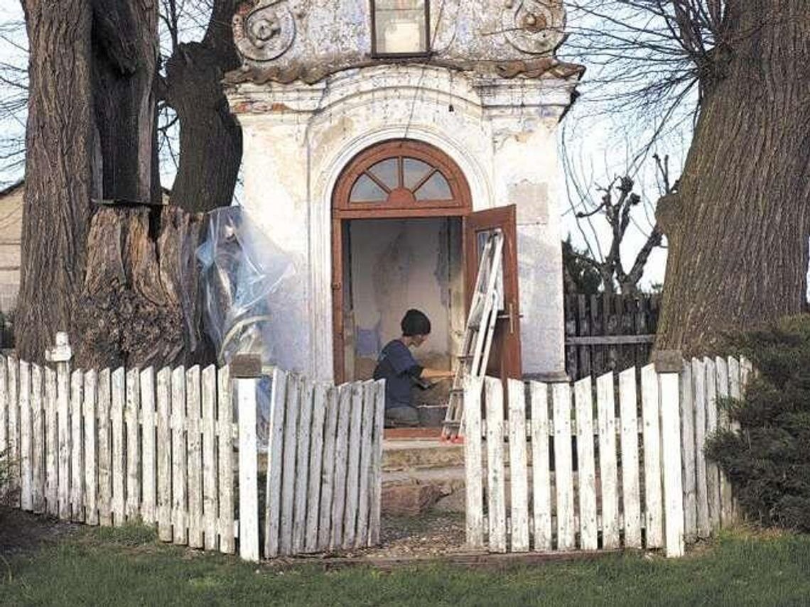 Wchodzą do lasu, wychodzą z cmentarza. Szukają wolontariuszy Wchodzą do lasu, wychodzą z cmentarza. Szukają wolontariuszy