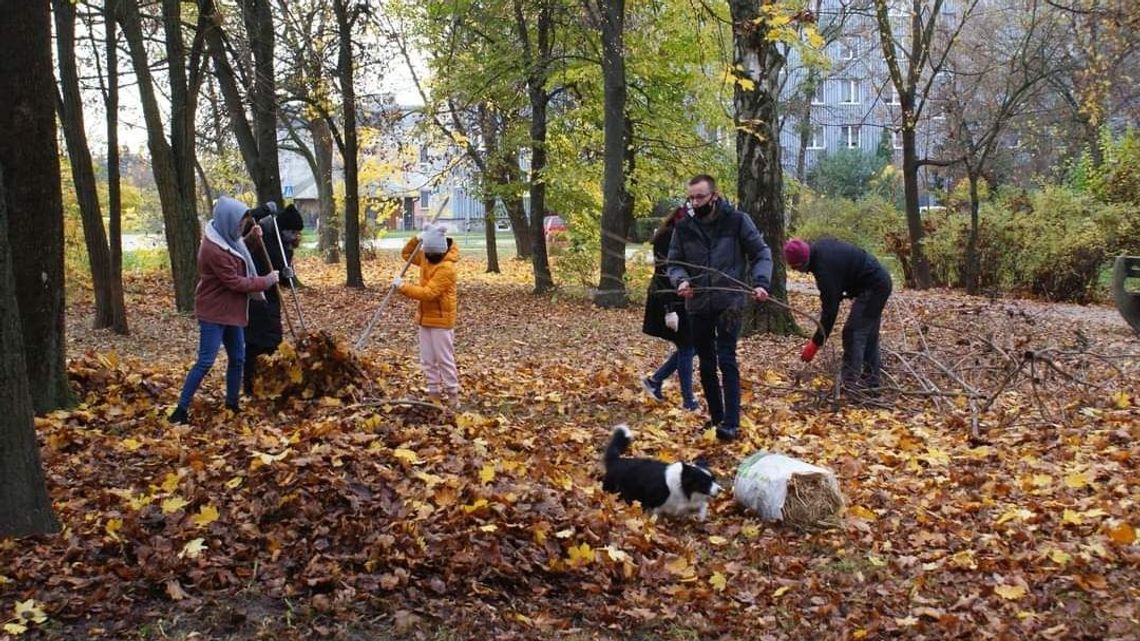 We Włodawie już są. Ty też możesz zrobić schronienie dla jeża