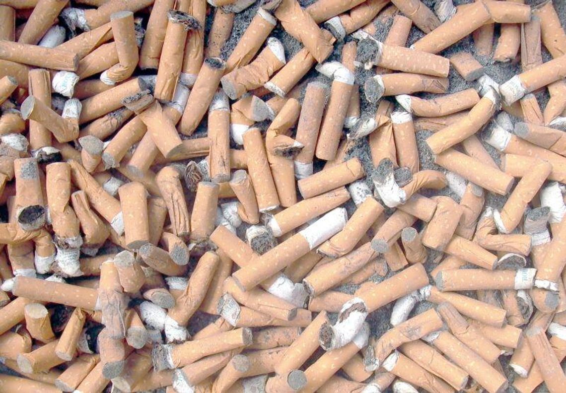 Wędzonka z barmana, czyli petujemy, aż się kurzy Wędzonka z barmana, czyli petujemy, aż się kurzy