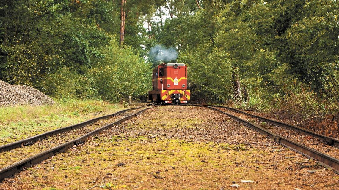 Weekend majowy 2019. Nadwiślańska Kolejka Wąskotorowa gotowa do drogi