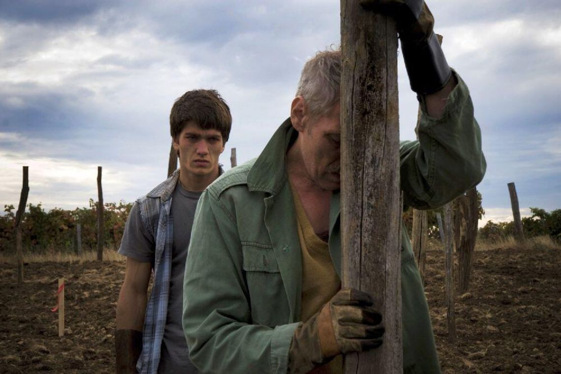 Węgierskie kino w Chatce Żaka (program)