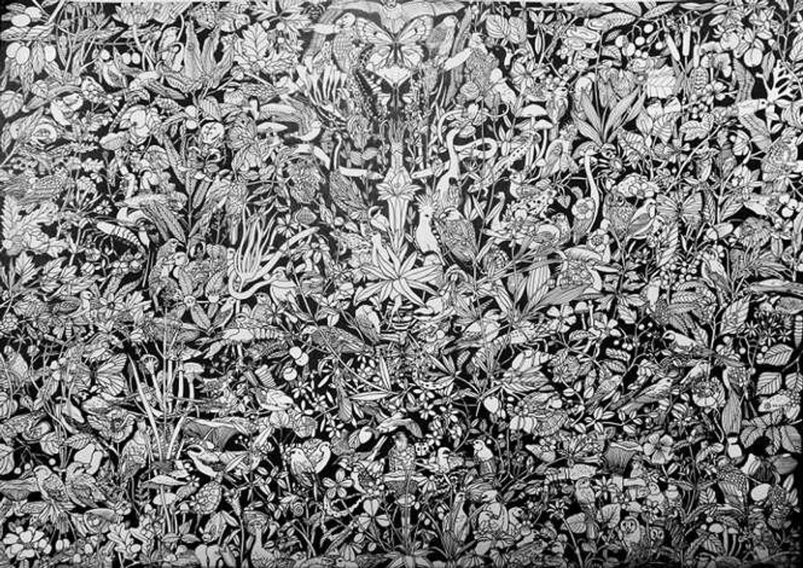 Wernisaż wystawy „Dużo Rysunków”