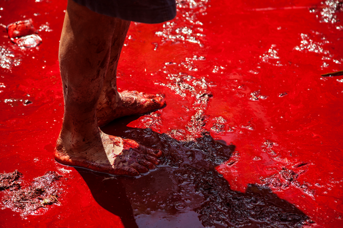 Wernisaż wystawy "Matahari (Oko Dnia)" w Galerii Białej