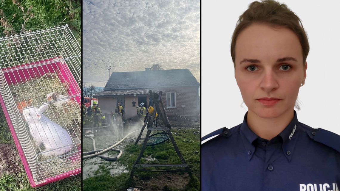 Weszła do płonącego domu i uratowała zwierzęta