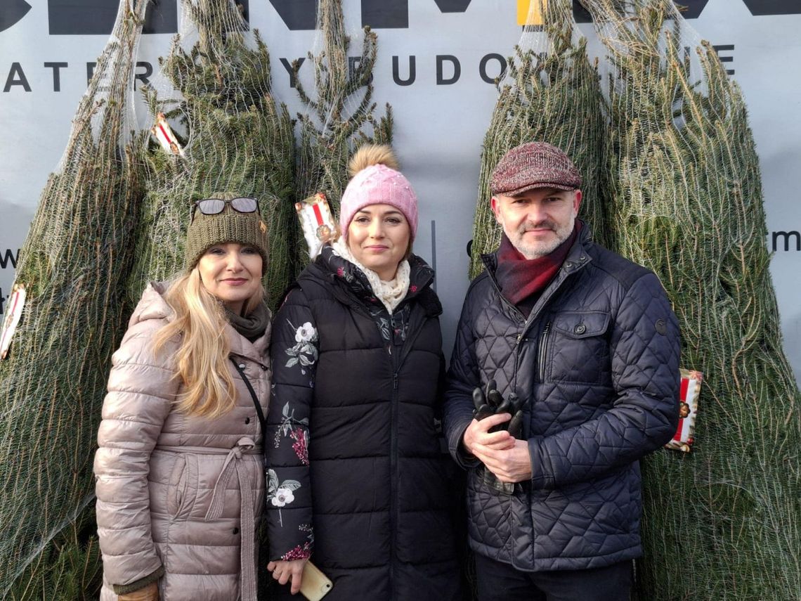 Weź choinkę dla Frania