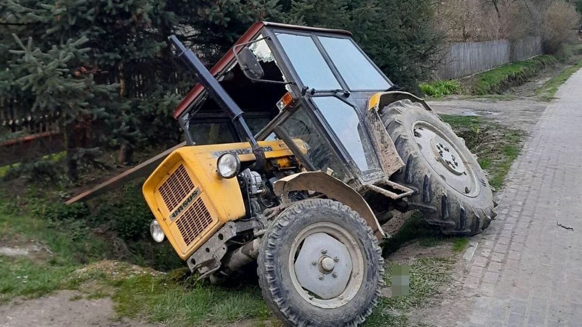 Wężykiem prosto do rowu 