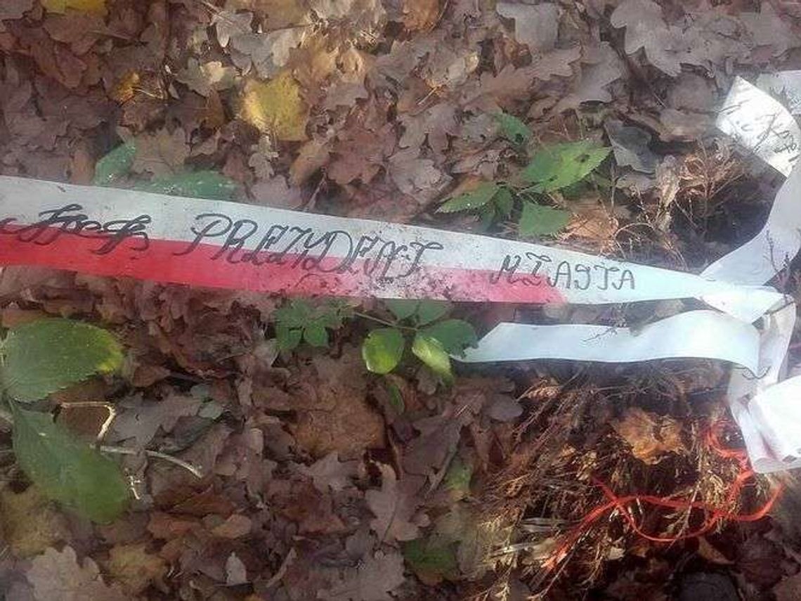 Wiązanka prezydenta z biało-czerwoną szarfą wylądowała w lesie